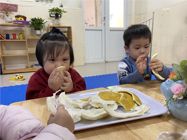 Các bé lớp D2 quan sát quả bưởi