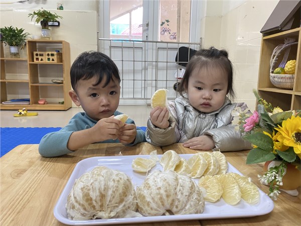 Các bé lớp D2 quan sát quả bưởi