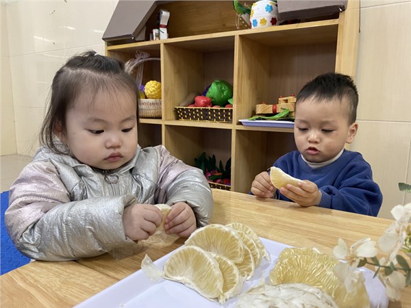 Các bé lớp D2 quan sát quả bưởi