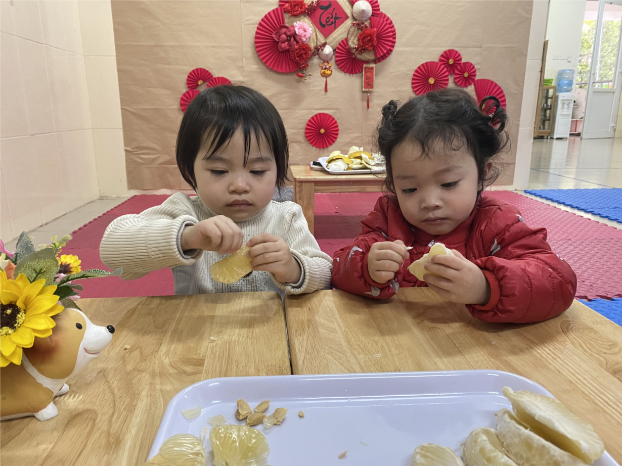 Các bé lớp D2 quan sát quả bưởi