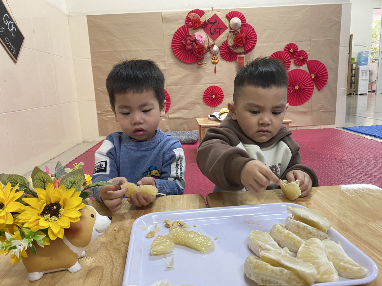 Các bé lớp D2 quan sát quả bưởi