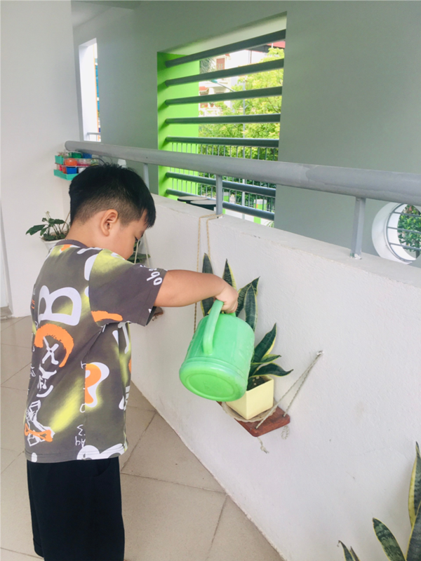 Các bé MGN B4 chăm sóc cây xanh