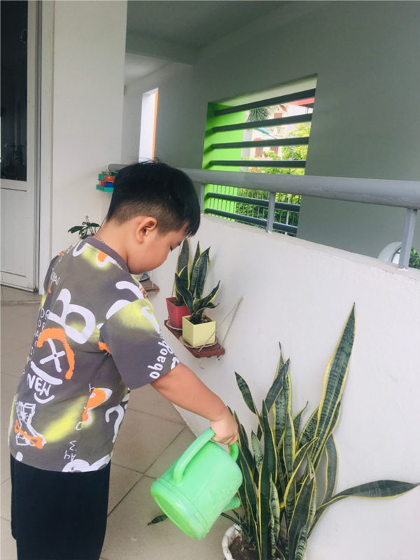 Các bé MGN B4 chăm sóc cây xanh