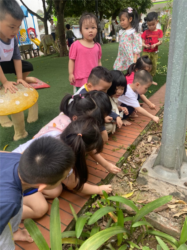 Các bé MGN B4 vui chơi ngoài trời