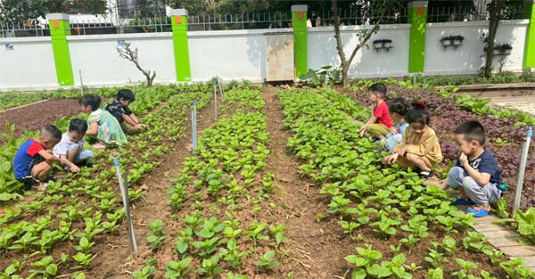 Các bé MGN B4 vui chơi ngoài trời