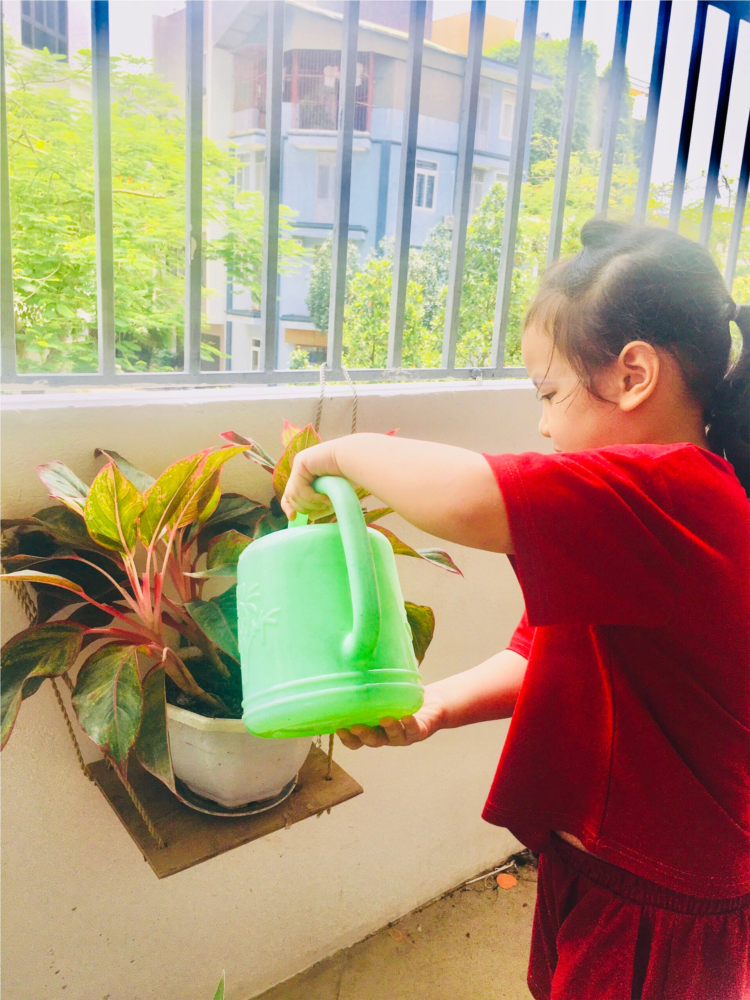 Các bé MGN B4 chăm sóc cây xanh