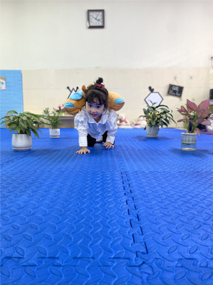 Các bé lớp D2 học PTVĐ