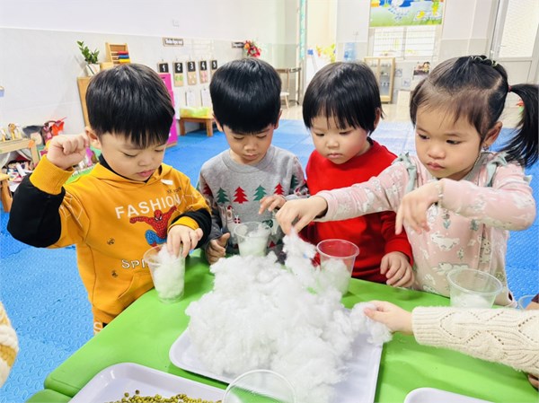 Hình ảnh các bé lớp C1 tham gia trải nghiệm làm giá đỗ.