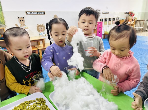 Hình ảnh các bé lớp C1 tham gia trải nghiệm làm giá đỗ.