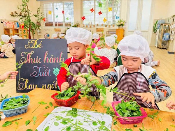 Những hình ảnh đẹp của các bé lớp MGN B4 nhặt rau ngót 