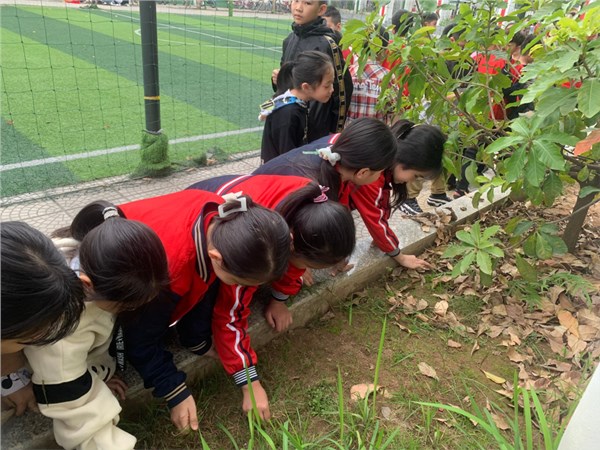 Tết trồng cây Xuân Giáp Thìn 2024.