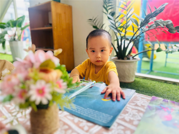 Ambum ảnh lớp Nhà Trẻ D2 hưởng ứng Ngày hội đọc sách