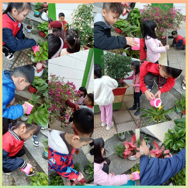 Tết trồng cây Xuân Ất Tỵ 2025.