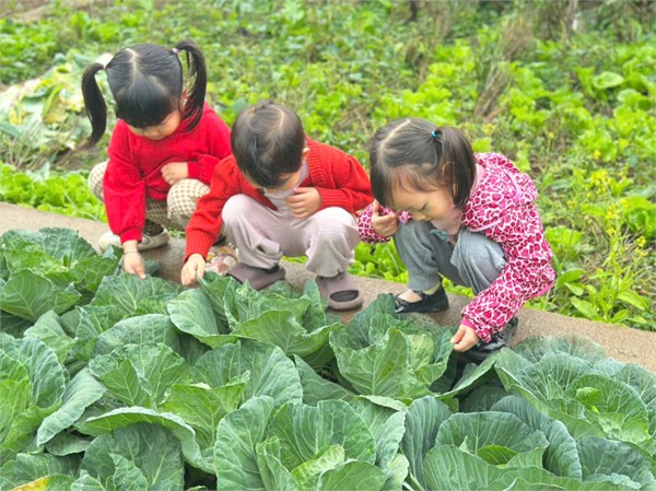 Giờ hoạt động ngoài trời của các bé lớp MGN B2